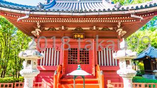 お堂自体も大変美しい形ですが、石灯籠も含めた全体も形式美に溢れています。