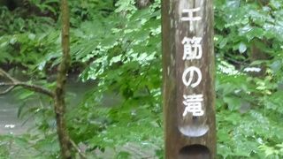 静かに流れ落ちる滝