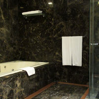 全身マッサージ付シャワーブースとジャグジーバス