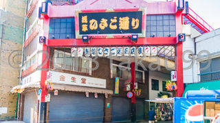 屋根のあるアーケード商店街です。