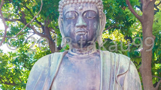 風雨のせいでしょうか、顔はややすすけたような感じです。