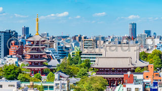 流石は東京一の観光地だけあって、参道の仲見世通りは観光客でごった返していました。