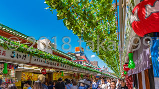 夏の仲見世通りの飾りつけは、涼しげなつる草でした。