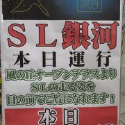 なんと目の前をSLが