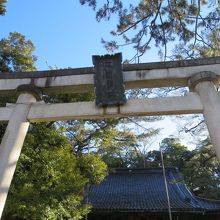 白い立派な鳥居