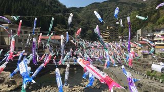 杖立温泉名物鯉のぼり