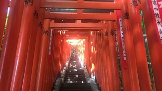 エネルギー高め 