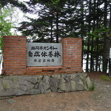 レンガ造りは珍しい