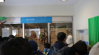 室内展示室が狭い