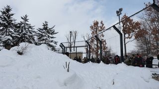 岩山でのんびりとしていました