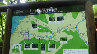 奥入瀬渓流沿いの車道