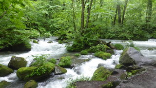 日本庭園のような風景