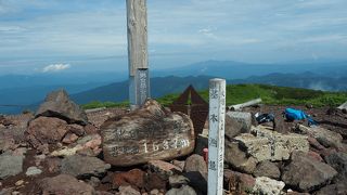 初夏は高山植物のお花畑