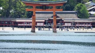 海の中にすっと立つ姿は実にきれいな大鳥居