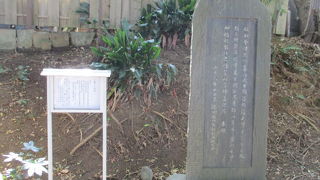 本殿手前の樹々に覆われた参道（石碑群）にあります