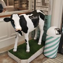 仔牛がお出迎え