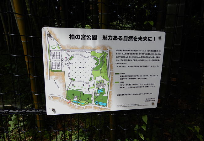 日本庭園と茶室がありました