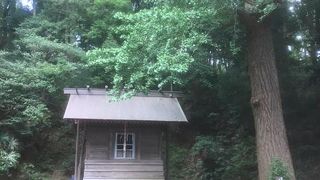 春夏秋冬を通して折々の趣が感じられるところです。