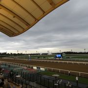 本当に小さい競馬場でした。