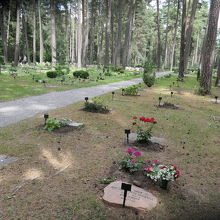 森林内の墓地