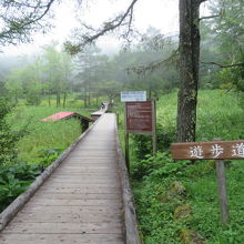 遊歩道があります