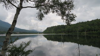 白樺高原にある小さな湖