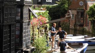 カンタベリー パンティング カンパニー