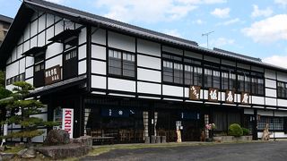 ボリューム派には山かけめしがオススメ