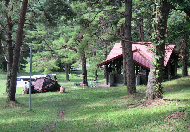 姫神山一本杉園地キャンプ場