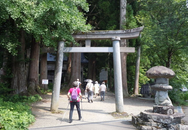 緑と水似癒やされるお寺さんでした