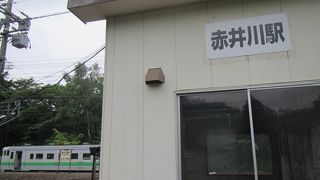 森に囲まれた寂しい場所にある、退避線のある駅
