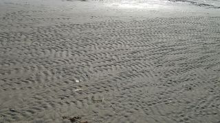 砂浜のきれいなビーチ