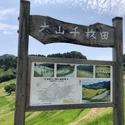 田園風景に癒されました