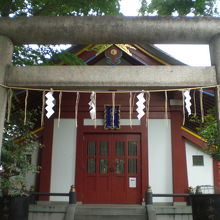 神田明神の小舟町八雲神社の鳥居と社殿です。青い額が見えます。