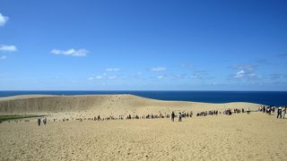 歩くのが一苦労な巨大なすなば。