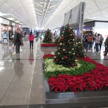 香港国際空港 (チェク ラップ コック空港) (HKG)