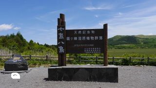 霧ヶ峰登山でみられる湿原地帯