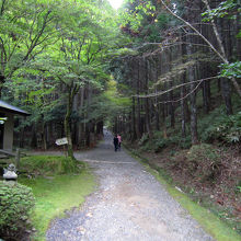 参道も非常にいい雰囲気。