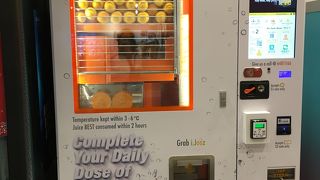 とにかく広い！