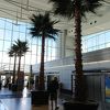 南国の空港です