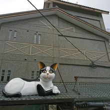 なんでしょうね？？(゜゜)