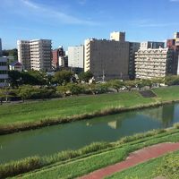 部屋からの眺め