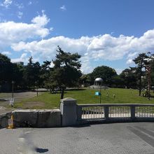 週末はピクニックする人で賑わいます By Miffyss 相模大野中央公園のクチコミ フォートラベル