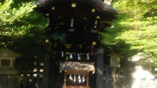 木々の中の黒い社殿