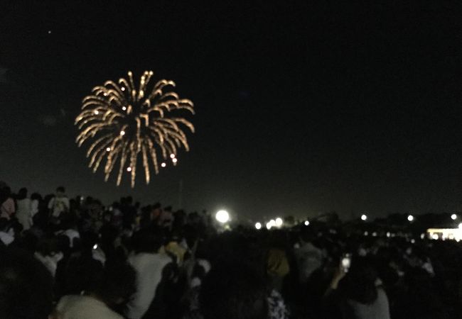 伊丹の花火 クチコミ人気ランキング フォートラベル 兵庫県