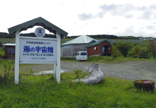 天売島海の宇宙館