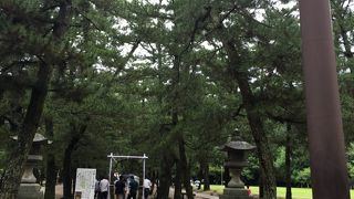 意外とコンパクト