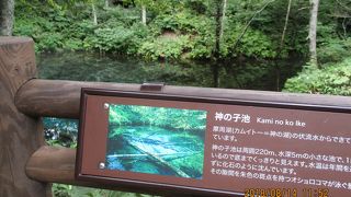 神秘的で美しい池