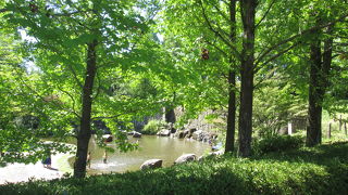 小さいお子さん連れで楽しめそう！！