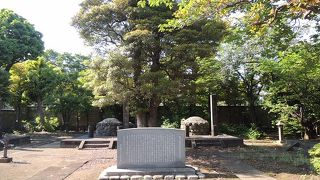 谷中霊園で徳川15代将軍徳川慶喜のお墓をみつけました